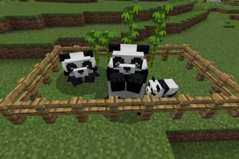 How to Breed Pandas in Minecraft – Easy and Simple guides