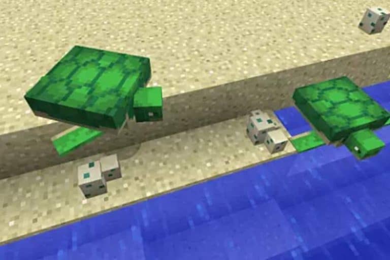 How to Breed Turtles in Minecraft – Is it Difficult?