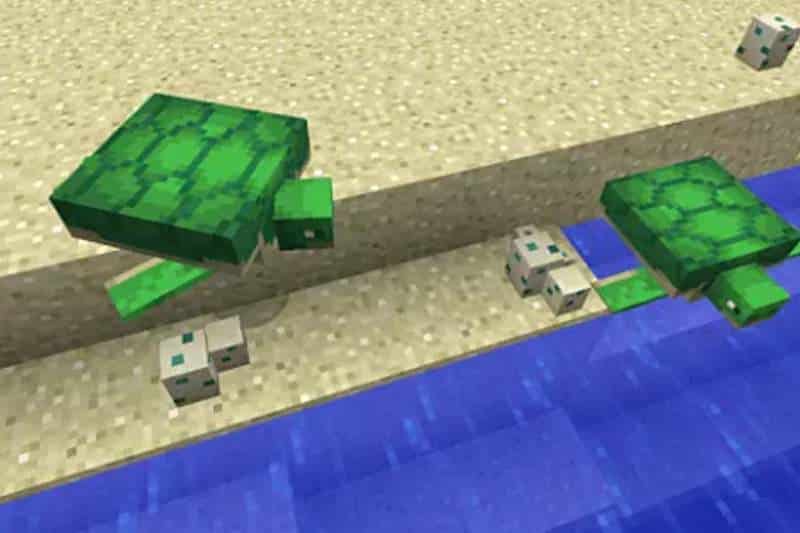 How to Breed Turtles in Minecraft - Is it Difficult