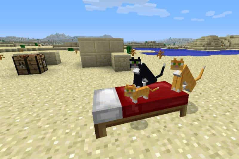 How to Tame a Cat in Minecraft – Easy and Simple Steps