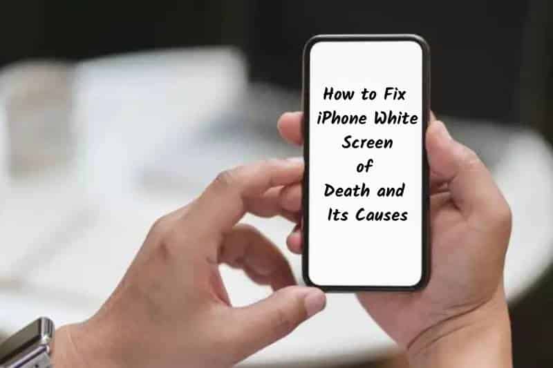 How to Fix iPhone White Screen of Death and Its Causes