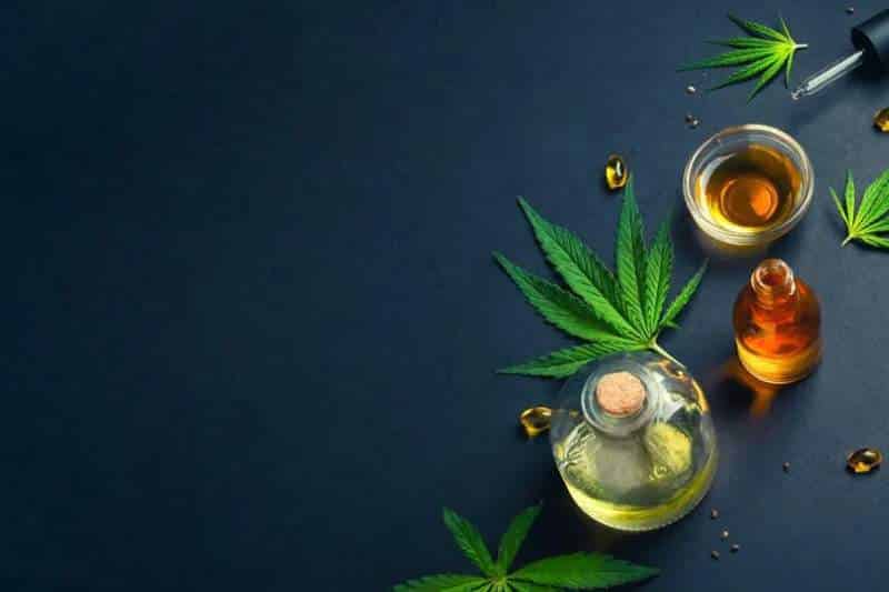 CBD and THC What's the Difference