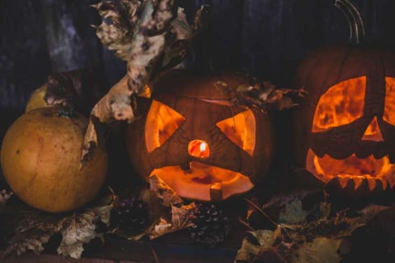 The Mysterious Origins of Halloween